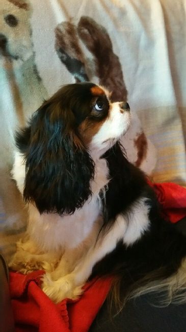 Festa un ufficio : ecco la torta !! - 2