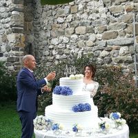 Brindisi taglio torta
