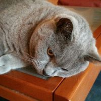 Alcune foto  dal nostro album di matrimonio - 1