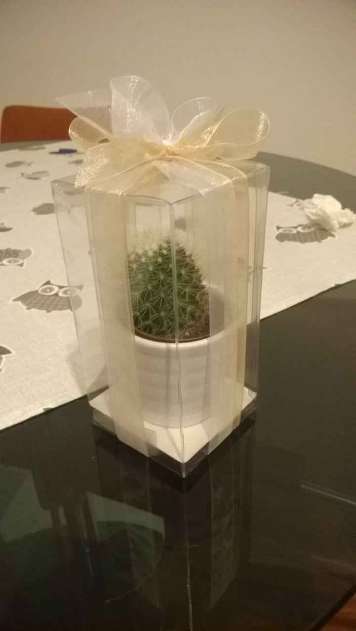 Fai da te, prima bomboniera con piantina grassa - 1