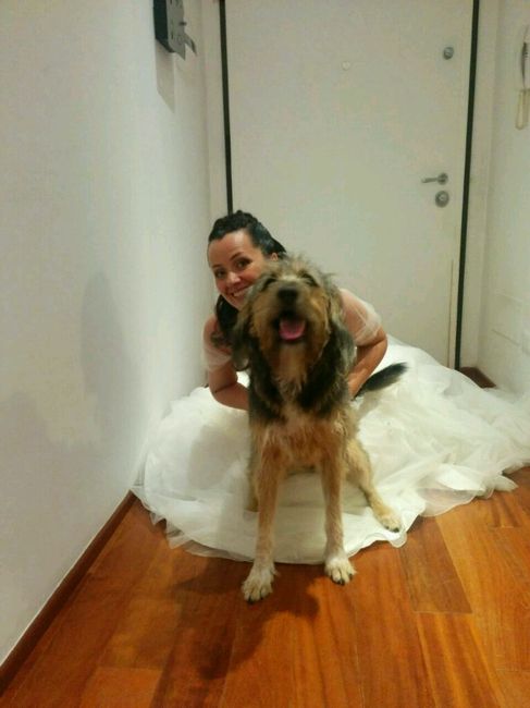 Il nostro matrimonio,20/06 - 7