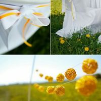 Location che cambia "sbianca" . che delusione! - 2