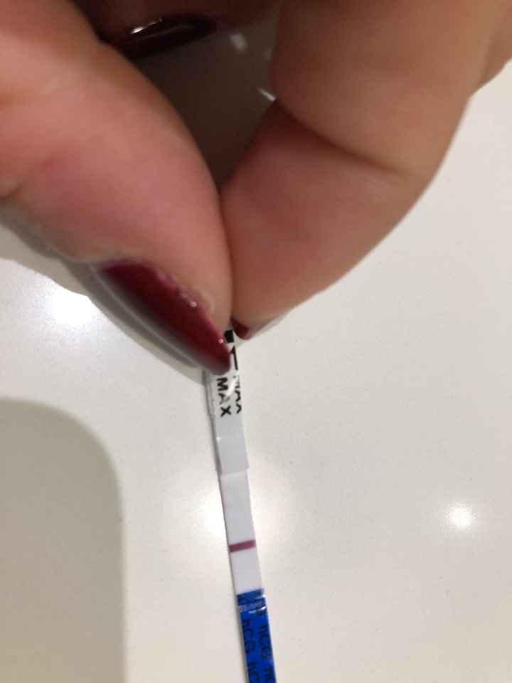 Ma voi la vedete? - 1