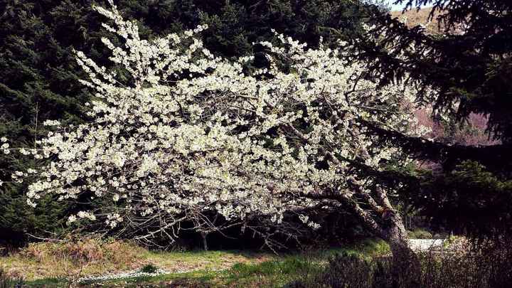 Location: casa nostra