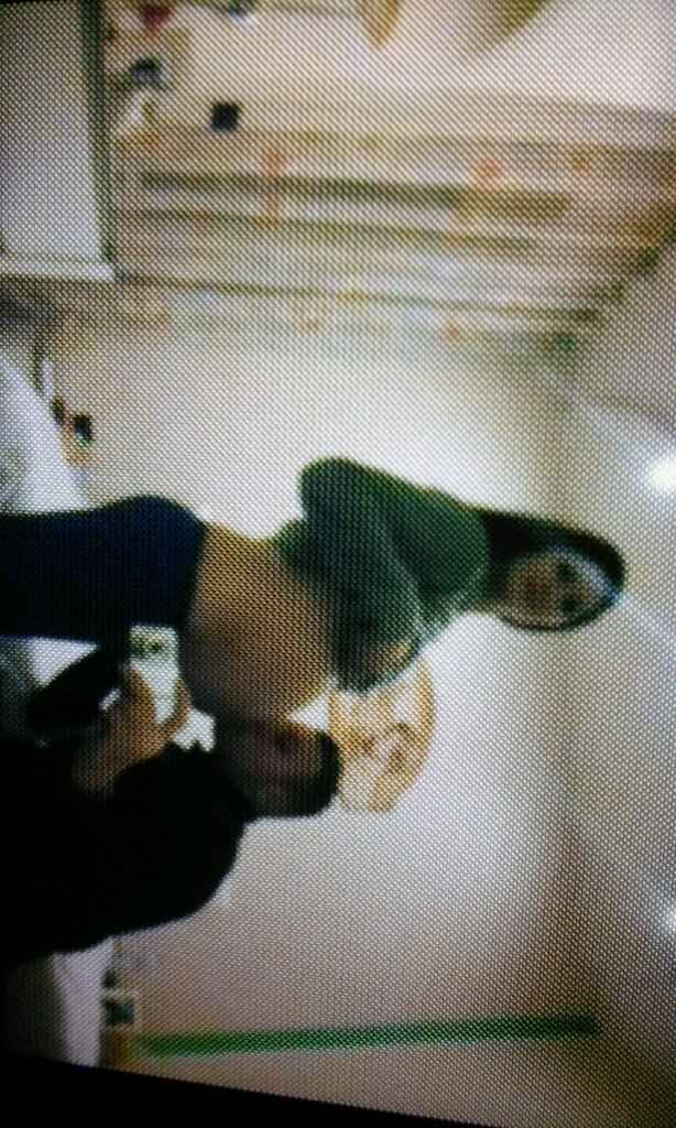 Pancine/pancione entrate :) - 1