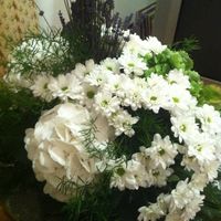allestimento floreale