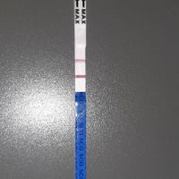 Chi non le aspetta per giugno 2020🥰🤞🏻 - 1