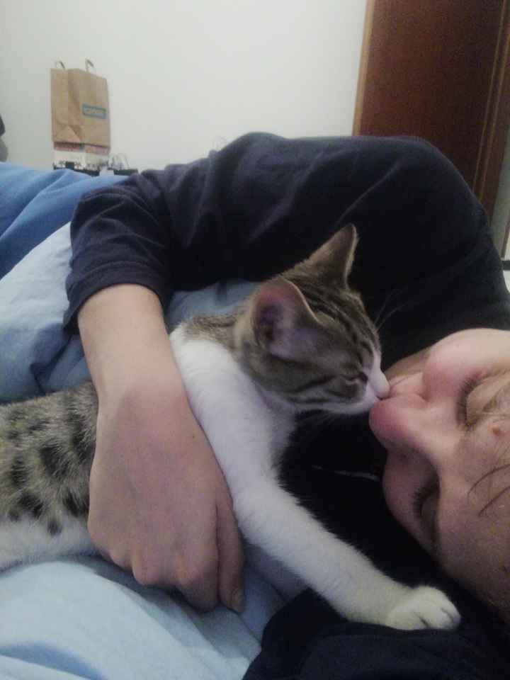 Piccolo giochino: postiamo i nostri baci con i nostri amici a 4 zampe - 1