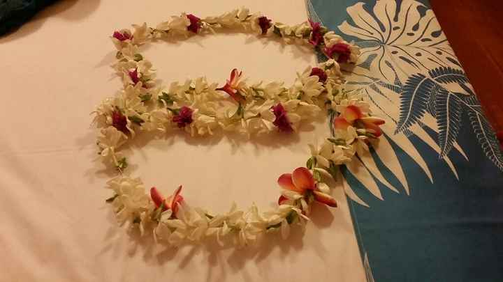 Il nostro viaggio fino ad ora! - 1