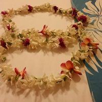 Il nostro viaggio fino ad ora! - 1