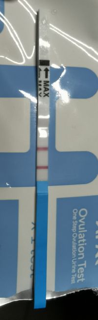 Aiuto test ovulazione 2