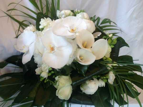 Bianco e verde