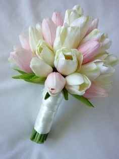 Tulipani