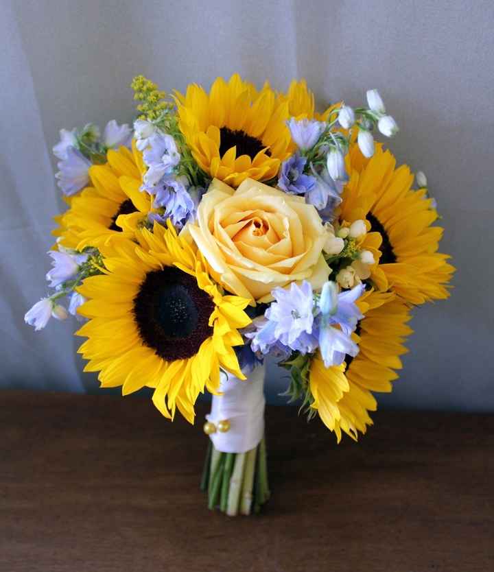 girasoli  azzurro