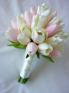 Tulipani