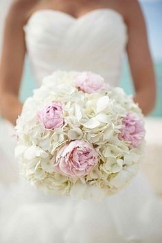 Peonie 2