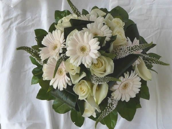 bianco e verde