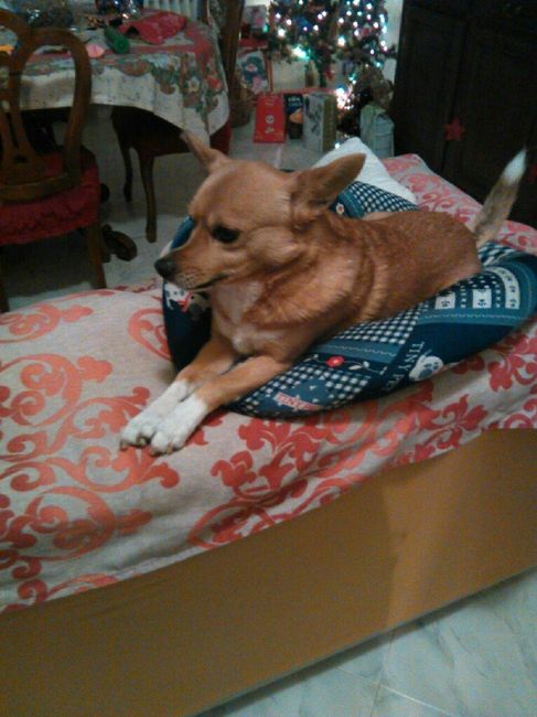 Siamo chico e cuba - 4