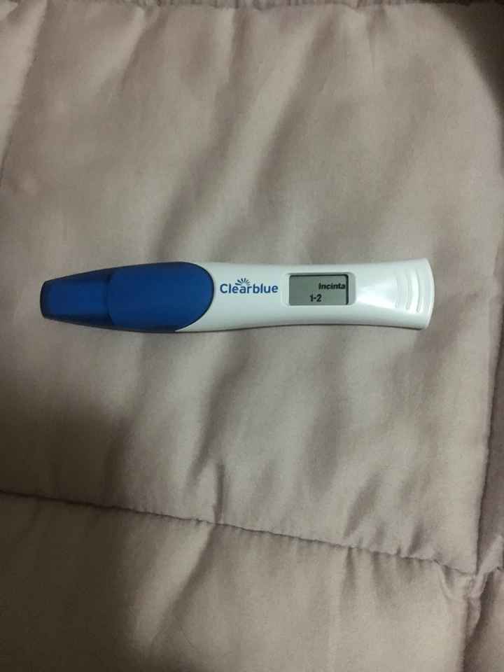 Marzo 2019 - Aspiranti pancine - 1