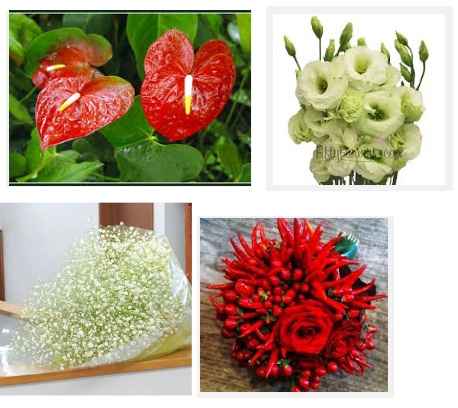 ecco i fiori che ho scelto