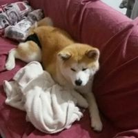 Altri scatti del nostro si ? - 1