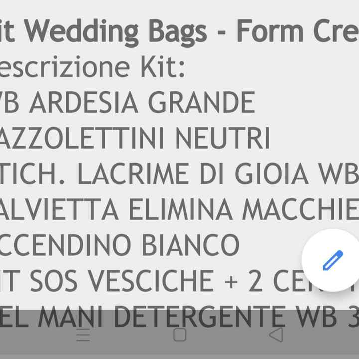 Wedding bag - 1