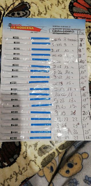 Test ovulazione positivi senza aver avuto il ciclo - 4