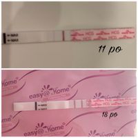 Test hcg easyhome e Ghost line - 1