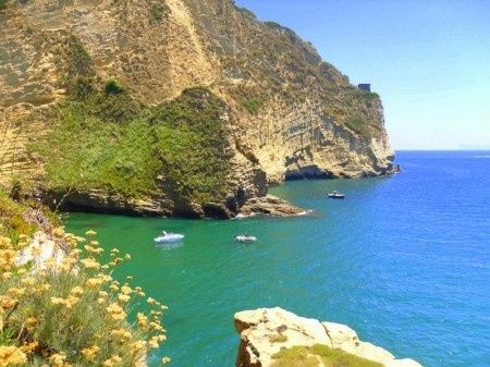 Info Calamoresca bacoli - 2