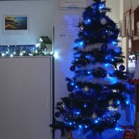 Avete mai fatto l'albero insieme? - 1