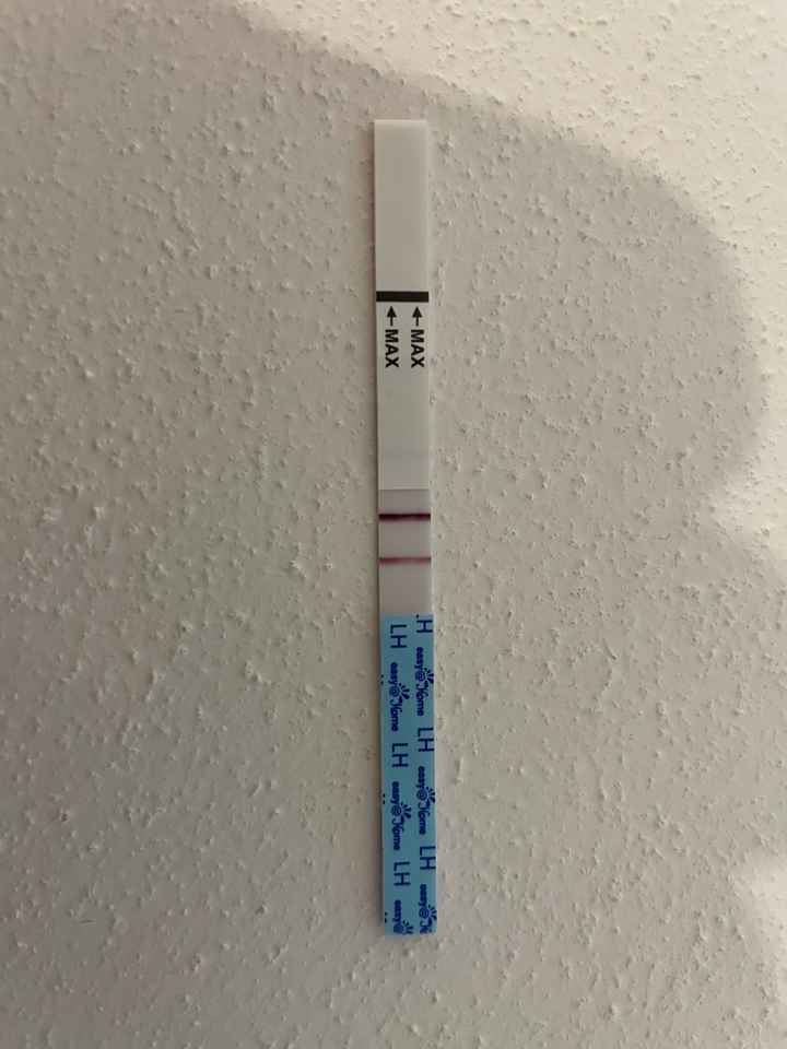 Canadese ovulazione primo giorno ritardo - 1