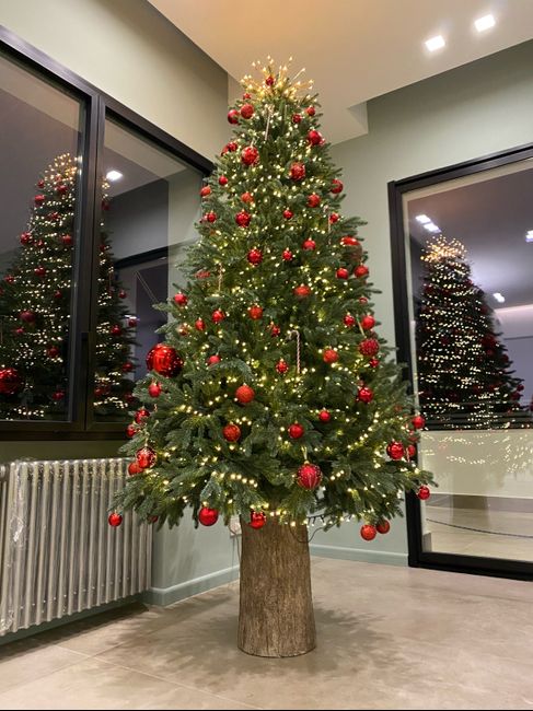 Avete mai fatto l'albero insieme? - 1