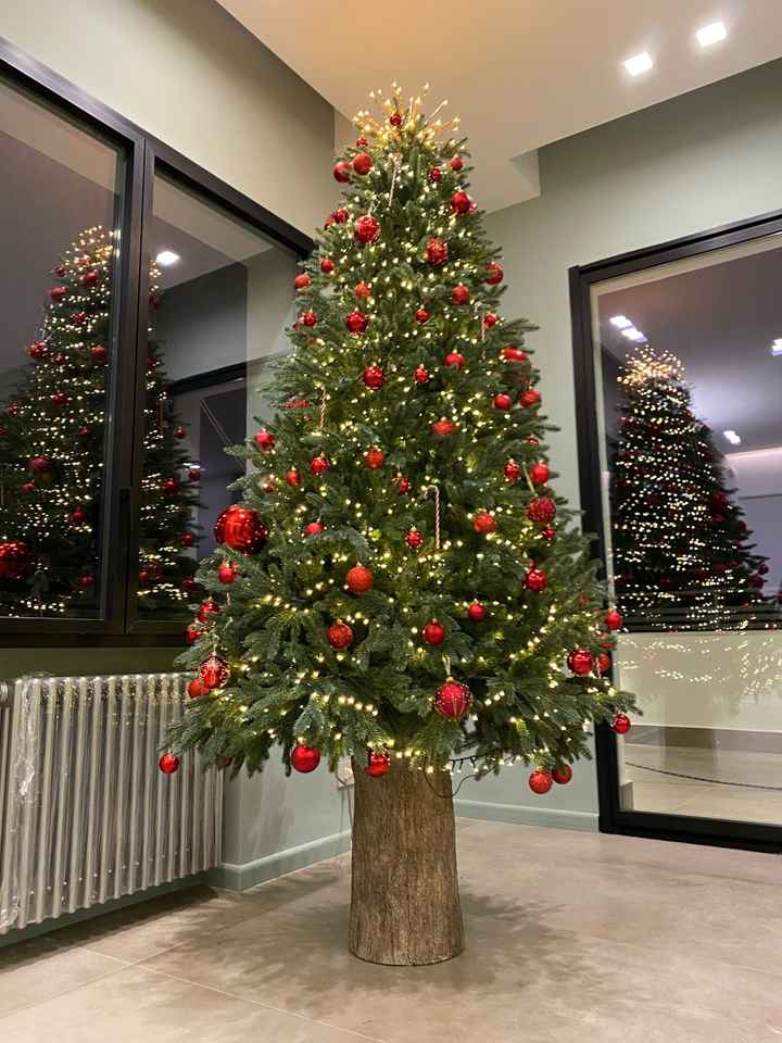 Avete mai fatto l'albero insieme? - 1