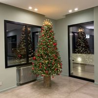 Avete mai fatto l'albero insieme? - 2