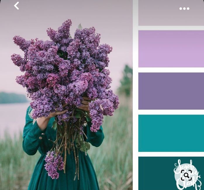 Colore viola 🟣🟪💜 12