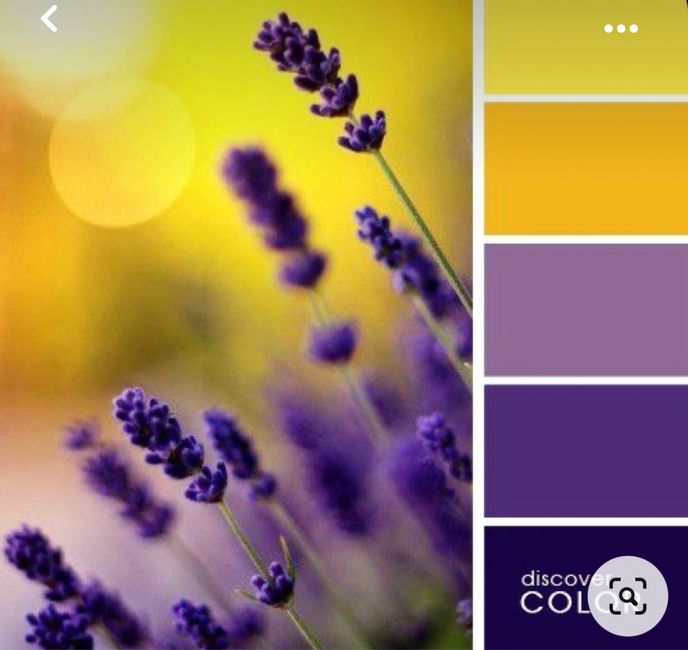 Colore viola 🟣🟪💜 13