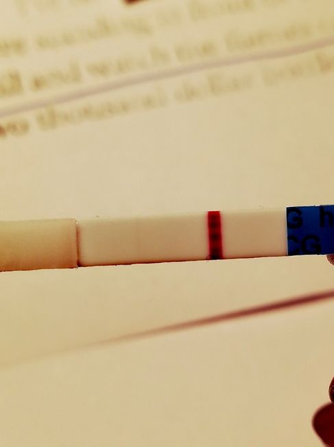 Gennaio 2019 aspiranti mamme in cerca del positivo!! 1