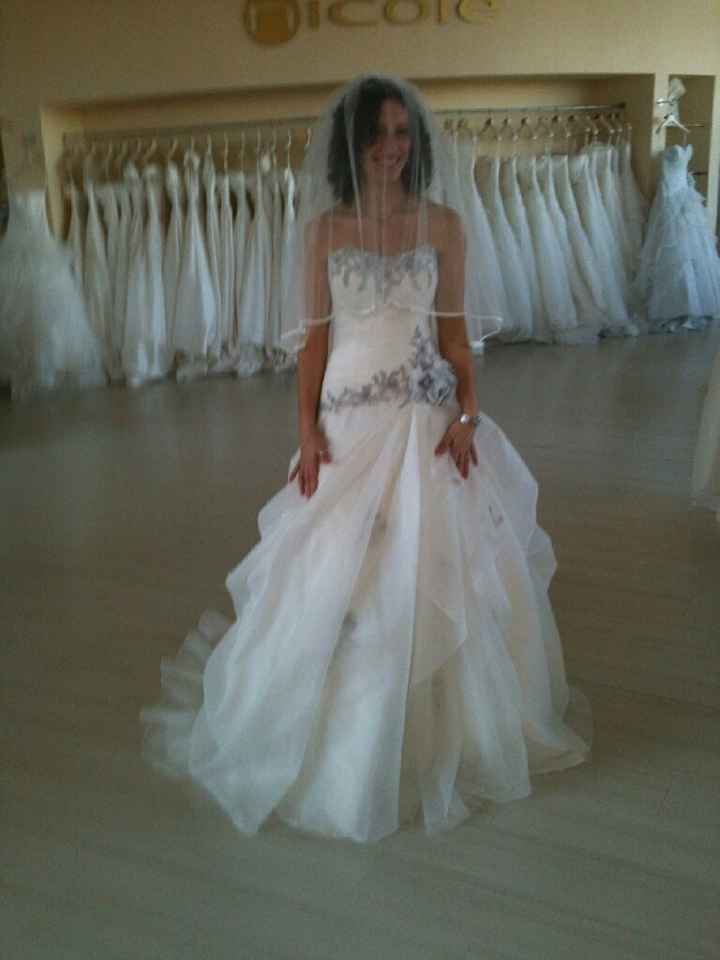 Abito da sposa, il vostro? - 1