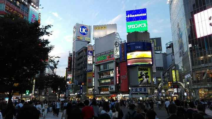 Il nostro sogno in giappone - 1