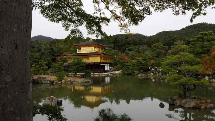 Il nostro sogno in giappone - 8