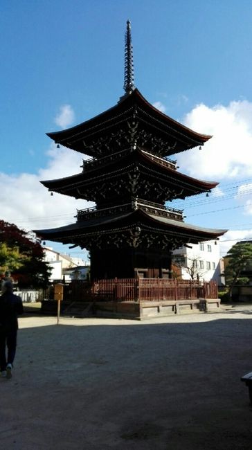 Il nostro sogno in giappone - 19