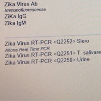 Zika - 1