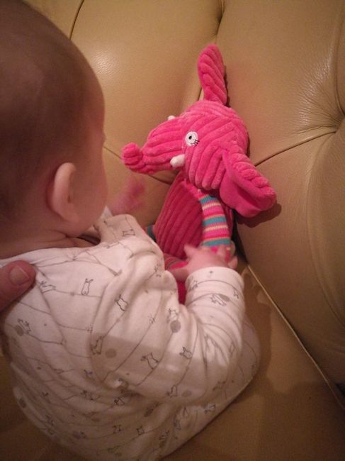 Max alle 4 di mattina