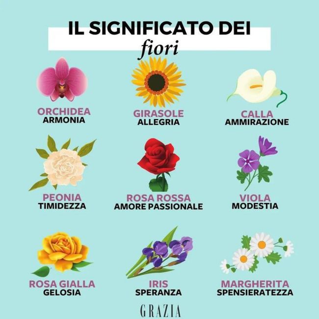 Nomi tavoli tema "albero della vita" - 1