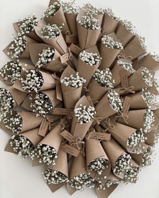 Fuori secchi...per Cosa? 1