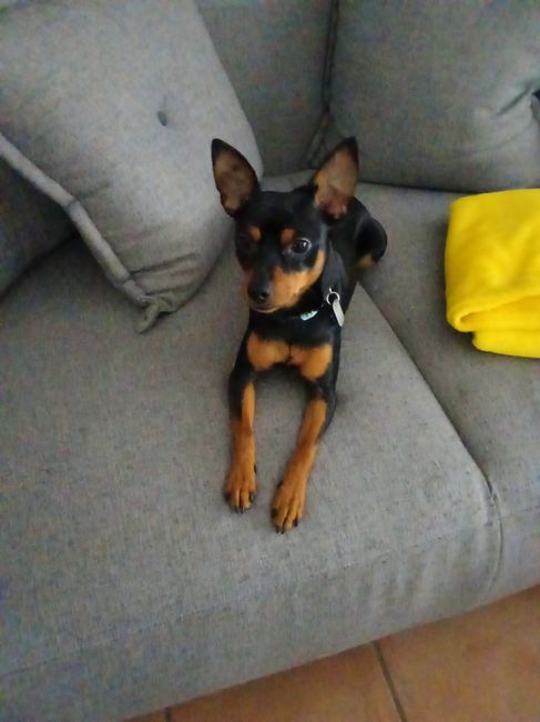 Primi acquisti da Shein per il matrimonio 😍 3