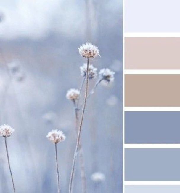 Sos palette colori 4
