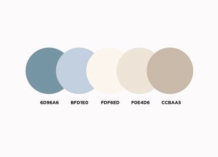 Sos palette colori 5