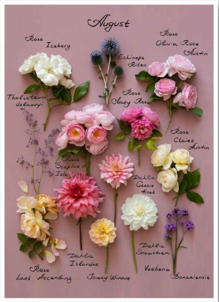 Sposine di agosto - 3