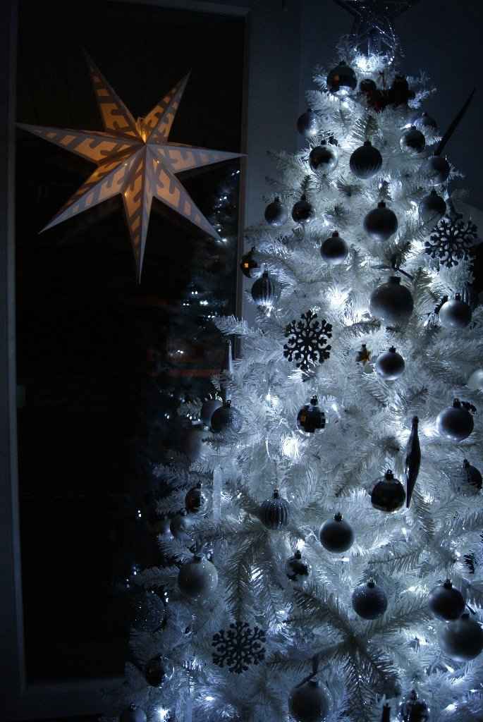 Albero di Natale